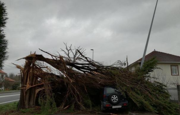 El viento y la lluvia provocan centenares de incidencias en vías, puertos y municipios de toda Galicia
