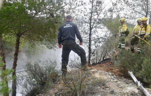 Efectivos del Infomur evitan un incendio forestal en la umbría de la Sierra del Puerto de Calasparra