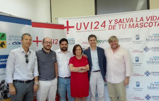 La Junta aplaude "la faceta innovadora" de las empresas UVI24 y Padel Manager