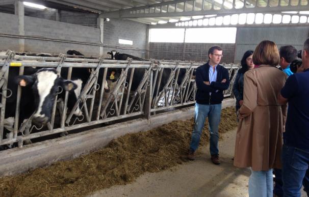 Feijóo garantiza que su Gobierno "nunca abandonará" el sector lácteo y avanza la resolución de nuevas ayudas