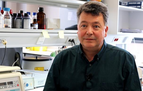 Investigadores de Cantabria descubren una nueva diana molecular para el tratamiento de enfermedades autoinmunes