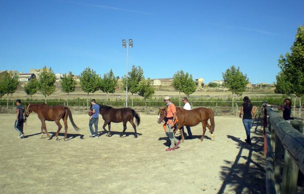 Siete usuarios con diversidad funcional recibirán terapia asistida por animales en Nuñomoral (Cáceres)