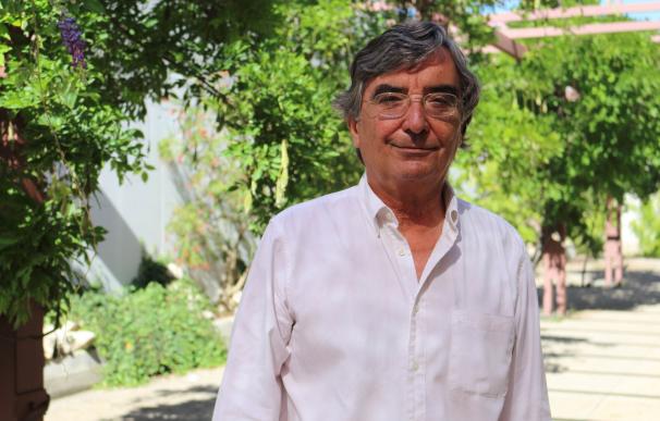 El profesor de la UPO Arsenio Moreno, nuevo miembro del Comité Nacional de Icomos España