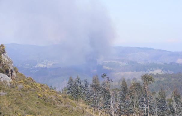 Ecologistas piden una primera evaluación de los daños causados por el fuego en las Fragas para adoptar medidas