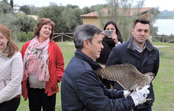 Liberados en Arcos dos ejemplares de halcón peregrino tras su recuperación en el CREA