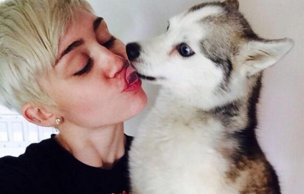 El mundo consternado por la muerte de Floyd, el perro de Miley Cyrus
