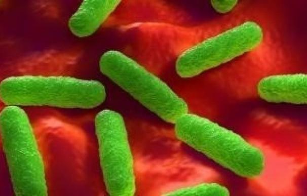 La UE avisa de la "alarmante" amenaza para la salud de las bacterias resistentes a antibióticos