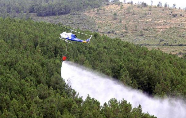 Controlado el incendio que arrasó 42 hectáreas en Hermisende (Zamora)