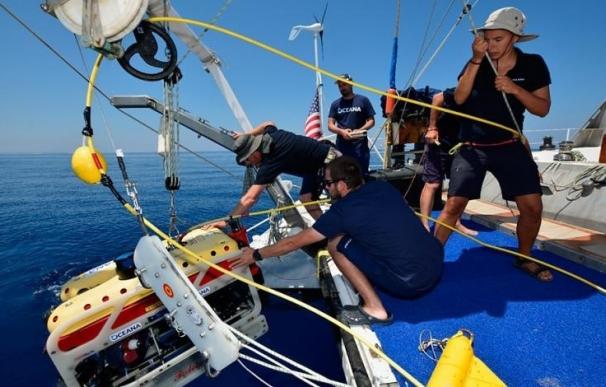 Oceana inicia la segunda expedición a Malta para explorar durante 10 semanas sus profundidades