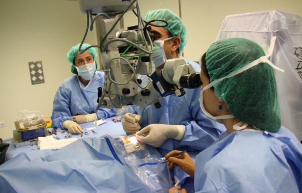 Los médicos colegiados crecen un 2,7% en Murcia en 2015
