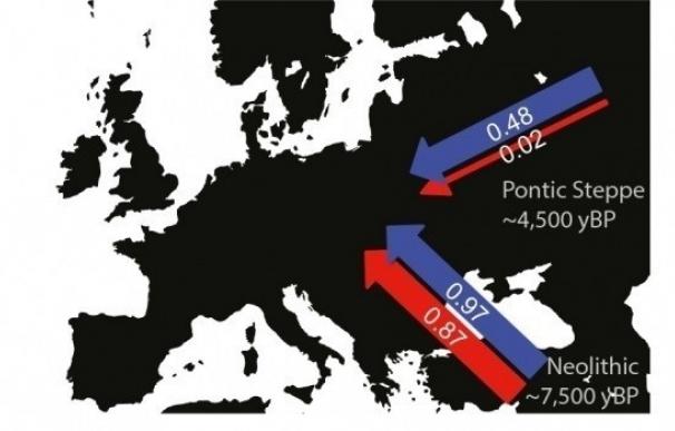 Hombres de la estepa cambiaron la ascendencia europea hace 5.000 años