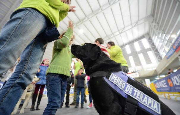 Caja Rural organiza un taller asistido con perros para concienciar sobre el acoso escolar en Gijón