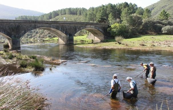 Mantener la calidad del agua de los ríos españoles cuesta un 224% más que hace 10 años y depurar el agua, un 415% más