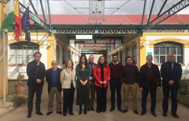 Salud se reúne con alcaldes de la Mancomunidad del Guadiato para informales de las medidas en el Área Norte
