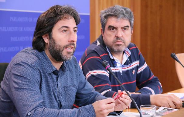 Podemos Andalucía defiende su autonomía en un modelo de partido "plurinacional"