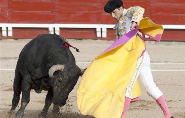 Castilla-La Mancha protegerá los toros como bien de interés cultural