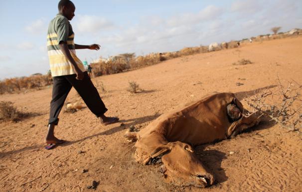 La sequía y el hambre dejan a Somalia sin futuro.