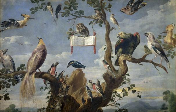 Las aves del Museo del Prado volarán por Twitter junto a SEO/BirdLife hasta finales de junio