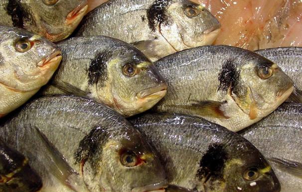 Oceana pide a la UE que los restaurantes identifiquen, obligatoriamente, el pescado que sirven