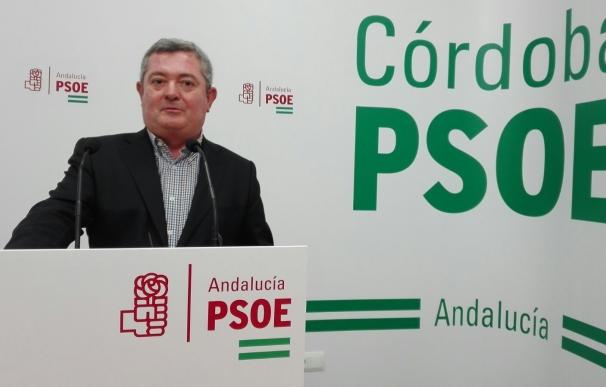 El PSOE-A defenderá un sistema sanitario público "innovador" frente al "modelo antisocial" del PP