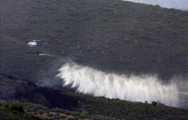 Controlado el fuego que ha afectado a 41 hectáreas en la Sierra de Béjar