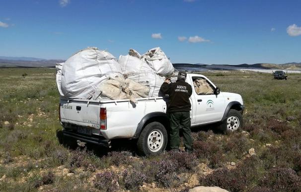 Junta interviene 650 kilos de tomillo recolectado ilegalmente en el Parque de Cabo de Gata-Níjar