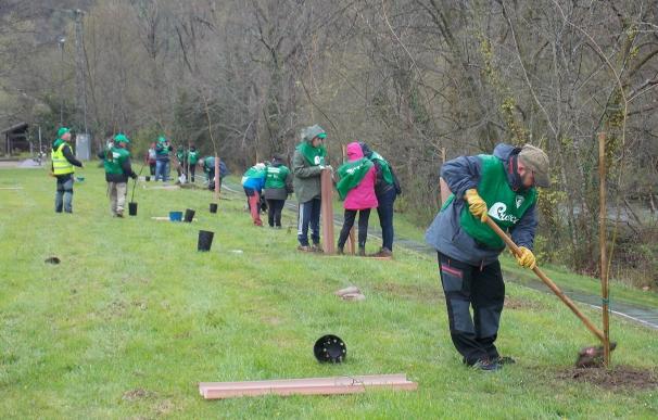 Cerca de 80 voluntarios participan en el arranque del programa ambiental Provoca 2017