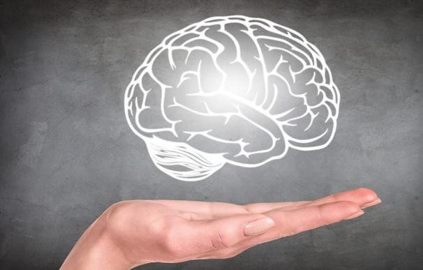 El neurocientífico Tim Bliss gana el premio 'Brain Prize' por sus estudios sobre el recuerdo y la memoria