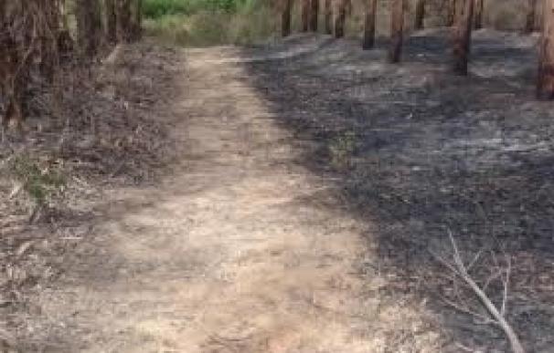 El incendio de Fuente de la Corcha (Huelva), ya controlado, arrasa 175 hectáreas