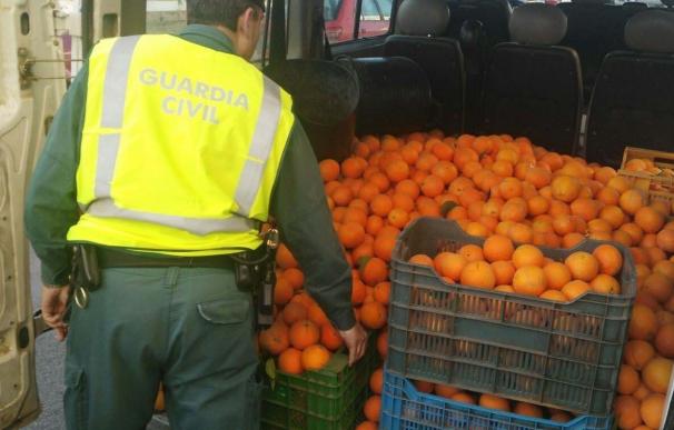 Relacionan a 23 personas con el hurto de más de 9.000 kilos de frutos en distintas localidades