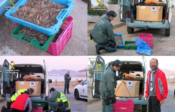 Sorprenden a dos pescadores furtivos con 25 kilos de langostino del Mar Menor en La Manga