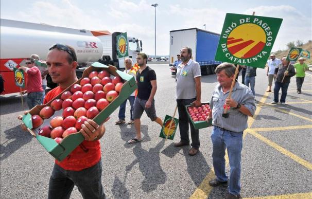 Contundente rechazo de Aguilar al mayor control de fruta española en Francia