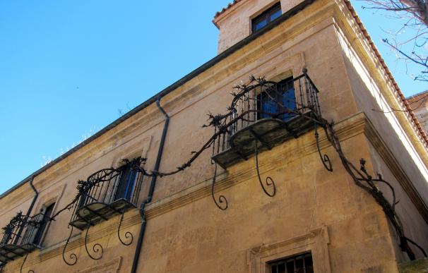 Una secuoya y una higuera, vecinos históricos de la Universidad de Salamanca