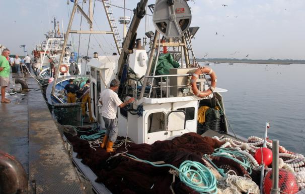 Declarada la veda temporal para la pesca de arrastre de fondo en aguas interiores de la Región