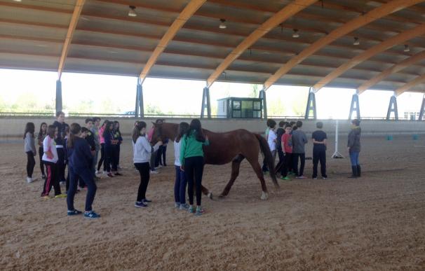 El Colegio Lourdes de Valladolid inicia un proyecto piloto de educación socioemocional mediante el uso de caballos
