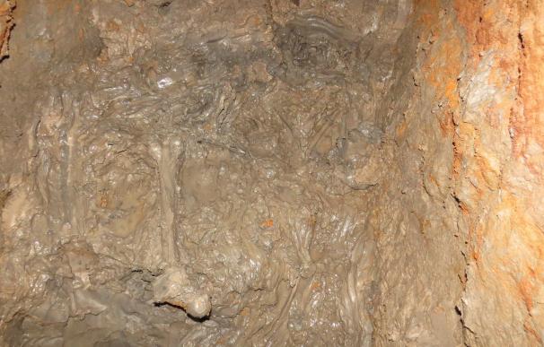Encuentran los primeros restos óseos humanos en el Pozo de Tenoya, en Gran Canaria