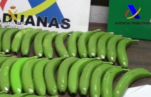 Intervienen 17 kilos de cocaína escondidos en bananas y solapas de cajas en València y Málaga