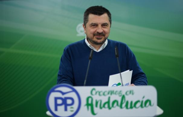 PP-A critica que Susana Díaz está al "cien por cien en el PSOE y al cero por ciento en la presidencia de la Junta"