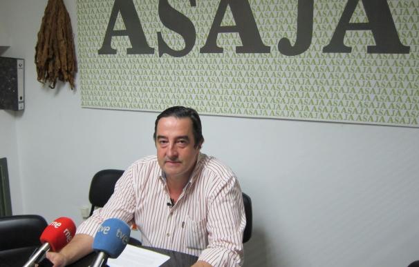 Los socios de Asaja Extremadura deciden retirar el recurso contra las elecciones al campo