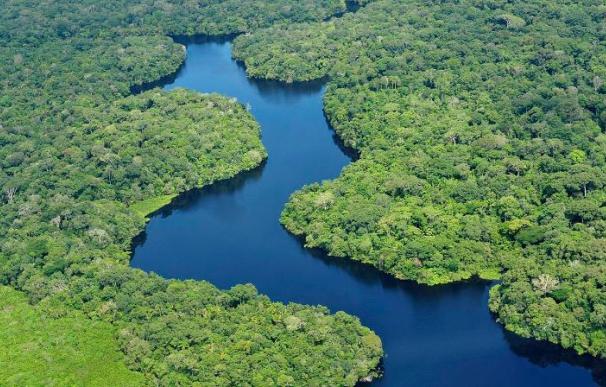 El Río Amazonas existe al menos desde hace nueve millones de años