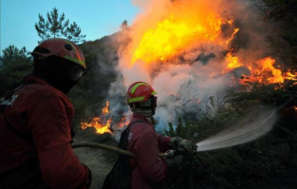 Un incendio que permanece activo quema 18 hectáreas en Castrillo de Cabrera