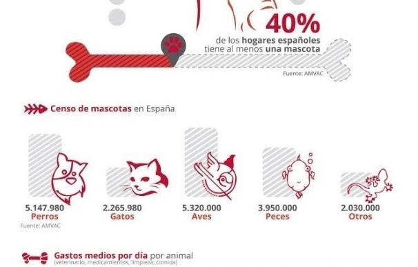 El 40 por ciento de los hogares españoles tiene una mascota, que ascienden a 20 millones en total