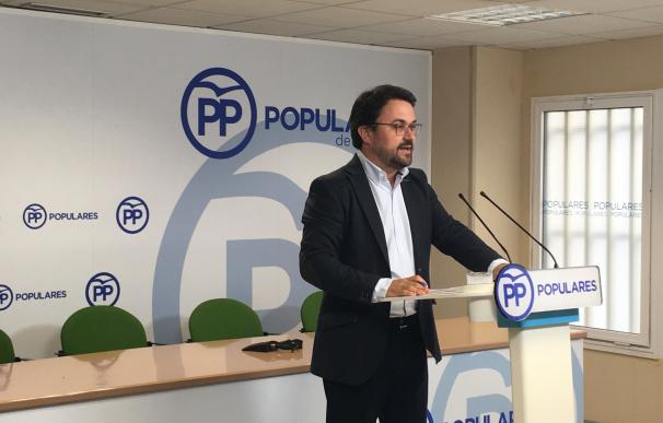 Antona reestructurará la dirección y creará nuevos órganos para preparar al PP de Canarias ante elecciones de 2019