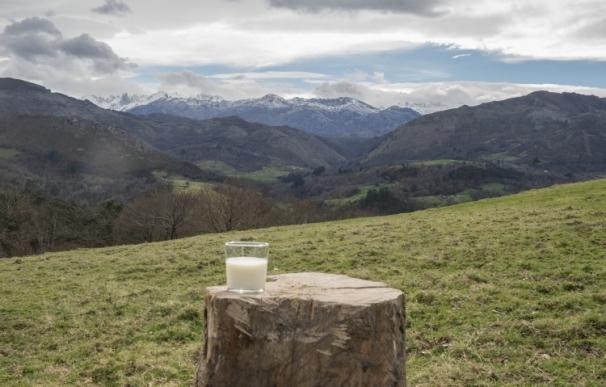Central Lechera Asturiana centra su estrategia en hacer productos 100% naturales