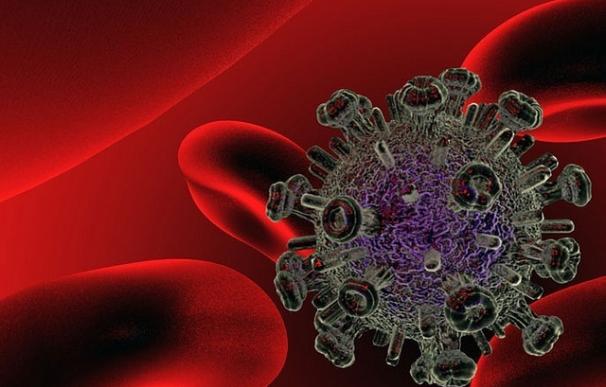 Investigadores del CSIC descubren que las bacterias del intestino influyen en la recuperación de las personas con VIH