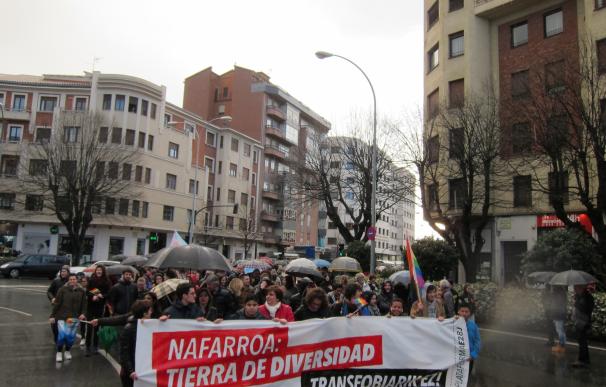 Cientos de personas rechazan en Pamplona la transfobia y reivindican que Navarra es "plural y diversa"