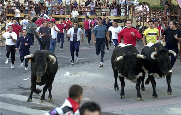 Un toro muere al chocar con otro y enzarzarse en una pelea en el encierro de Leganés