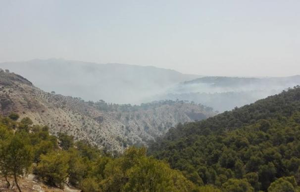 Controlado el incendio de Quesada en el Parque Natural de Cazorla