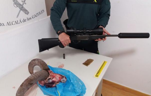 Denunciados dos cazadores furtivos sorprendidos tras abatir un muflón en Alcalá de los Gazules