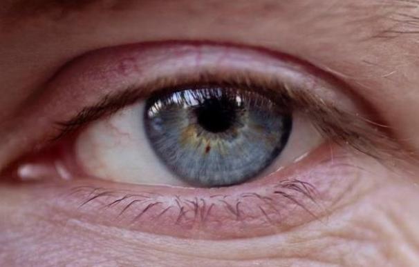 Científicos crean una retina artificial que podría devolver la visión perdida